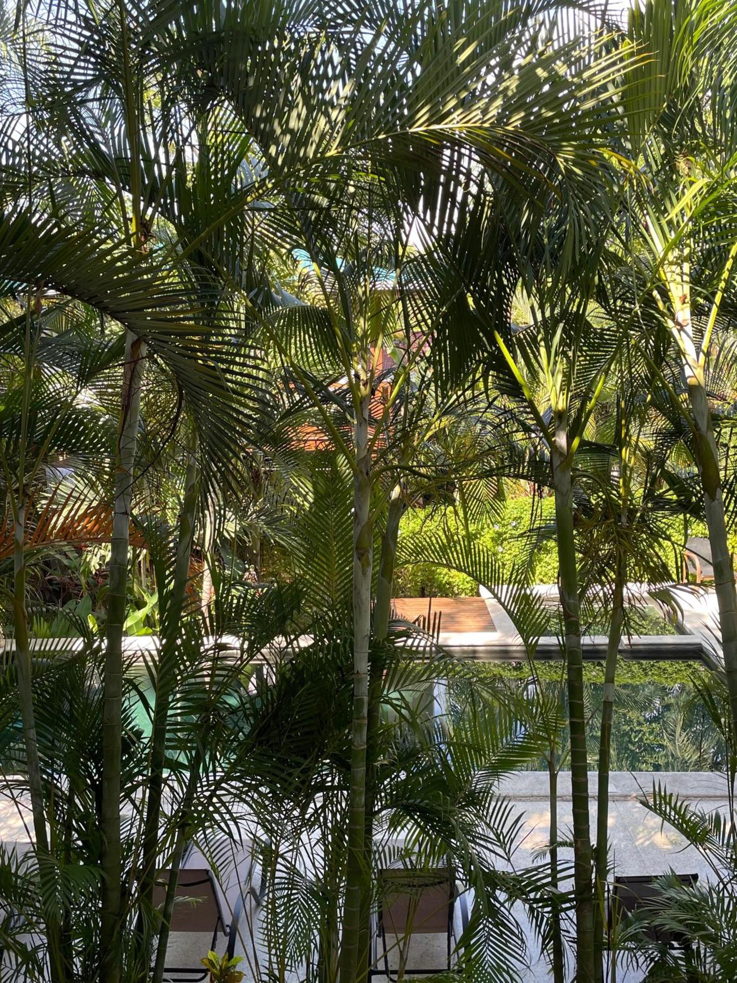 Ohana Villas Playa Santa Teresa  Экстерьер фото