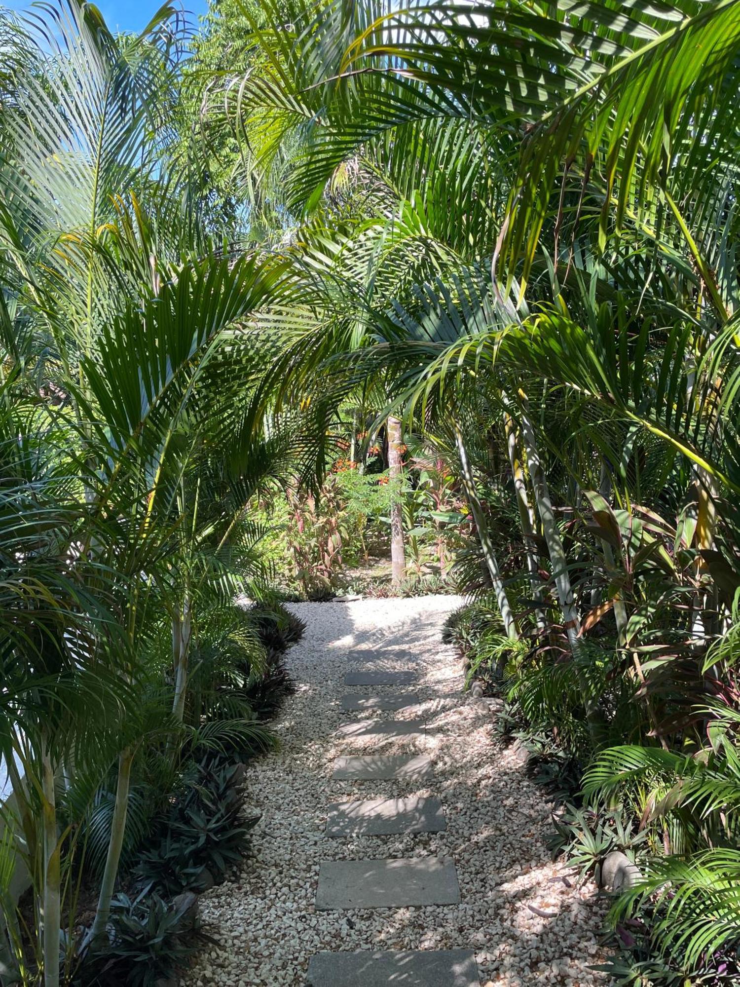 Ohana Villas Playa Santa Teresa  Экстерьер фото